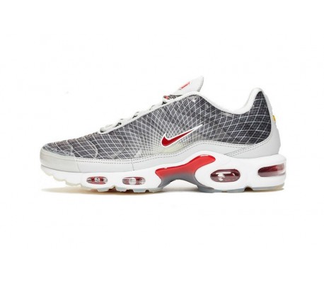 Mens Nike Air Max Plus Tn Grey and White Sneakers